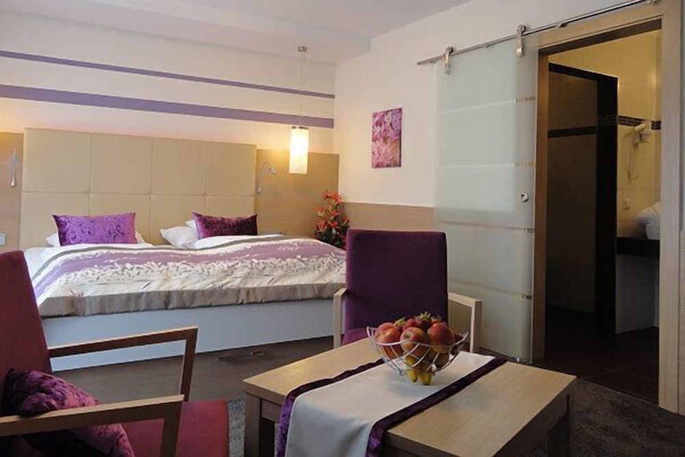Ringhotel Lenauhof 17/50