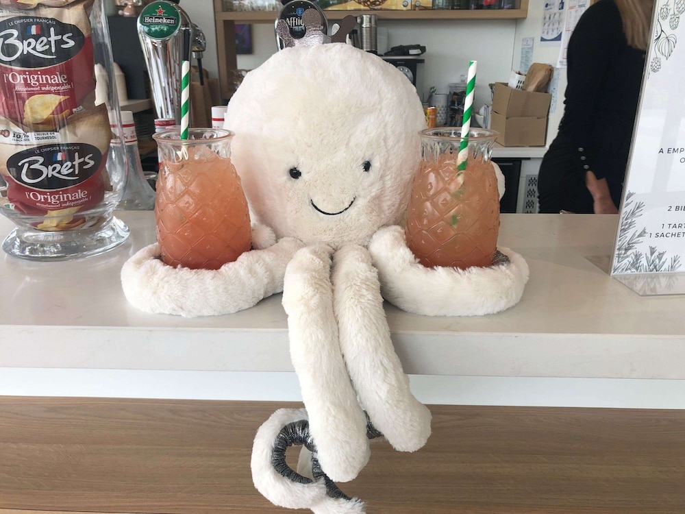 Ibis Styles Guyancourt Versailles 23/69