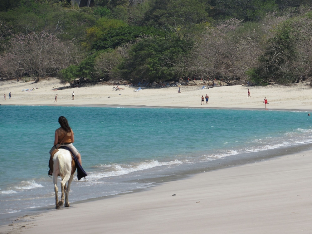 Casas del Toro Playa Flamingo 46/50