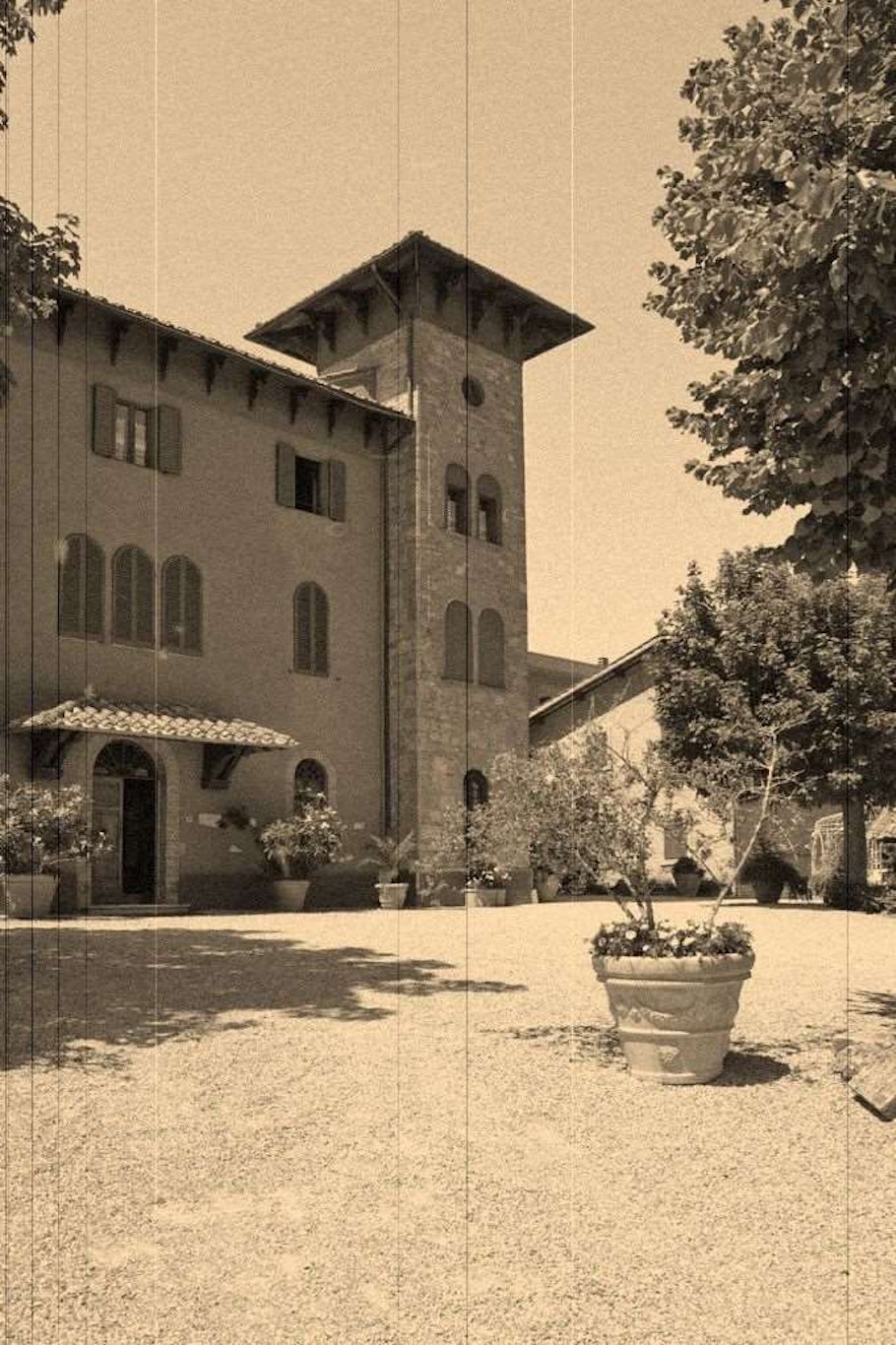 Il Patriarca 31/45