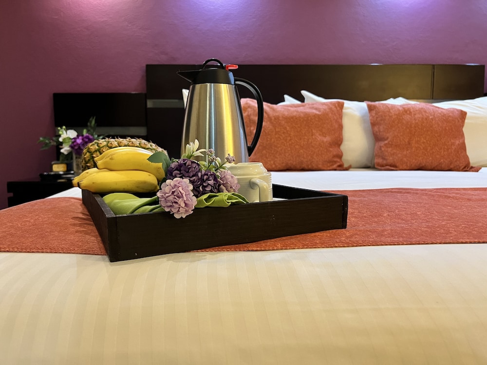 Hotel Poza Rica Centro 32/58