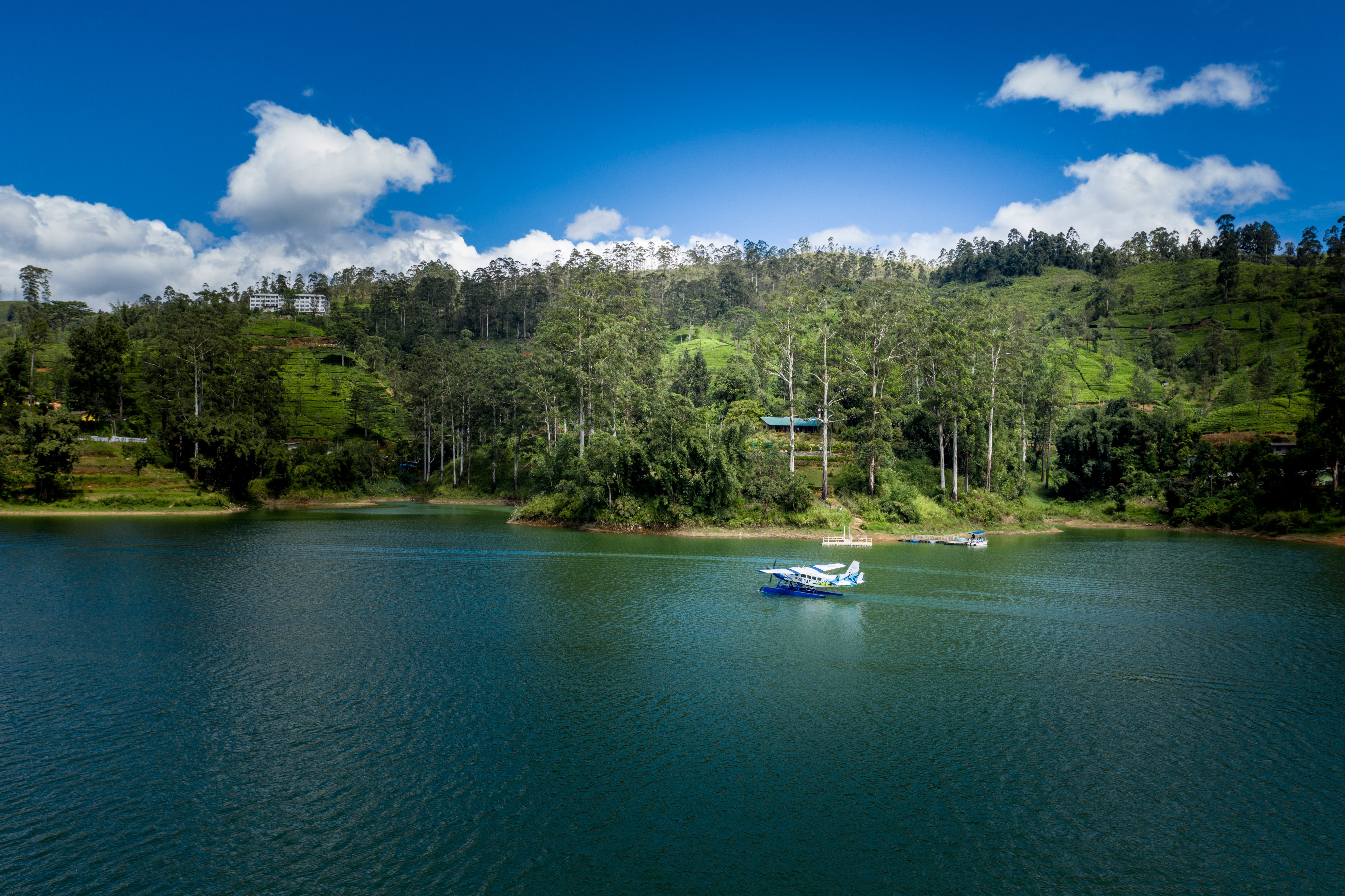 Tea Trails 16/43