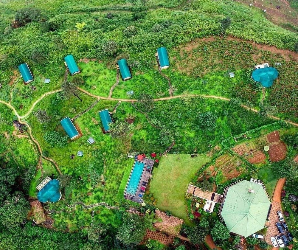Madulkelle Tea And Eco Lodge 37/43
