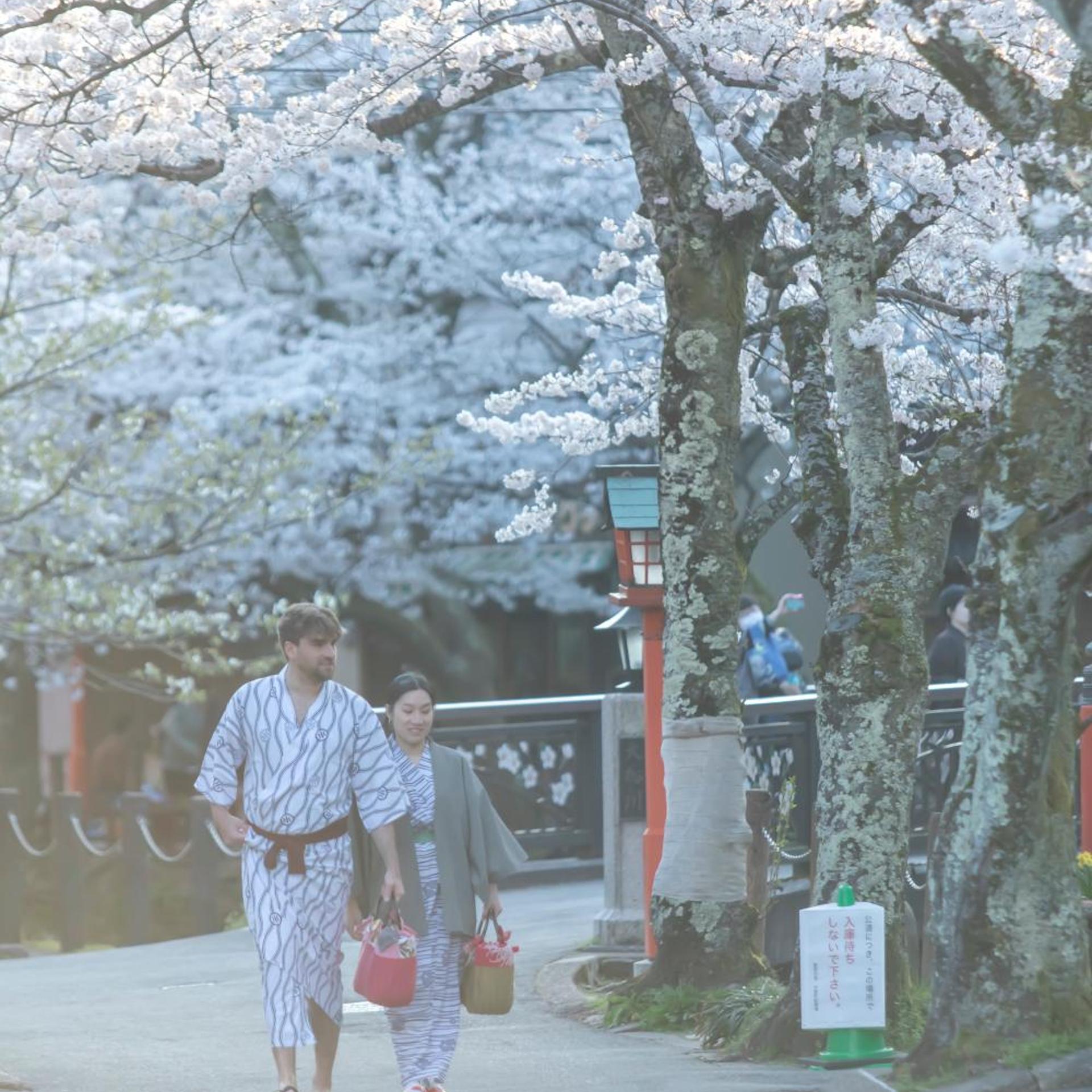 Kinosaki Onsen Ryokan Sensui 49/58