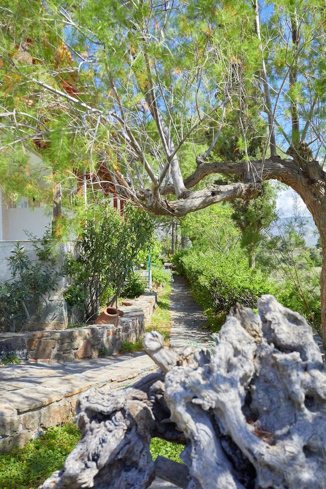 Zorbas Apartments 38/45