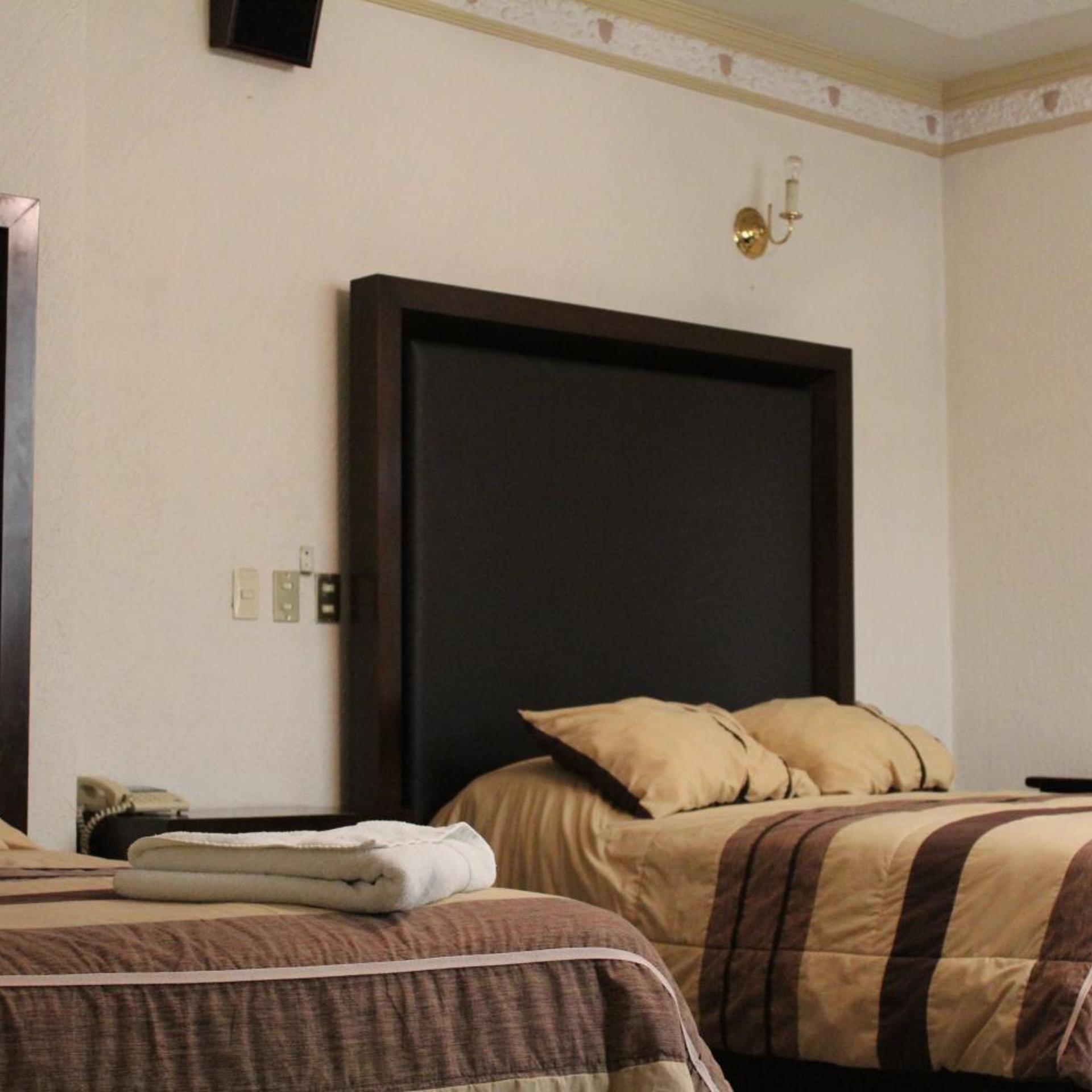 Hotel Feria Jalisciense 17/37