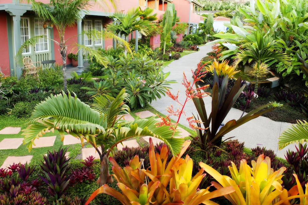 Hacienda De Abajo - Adults Only 32/50