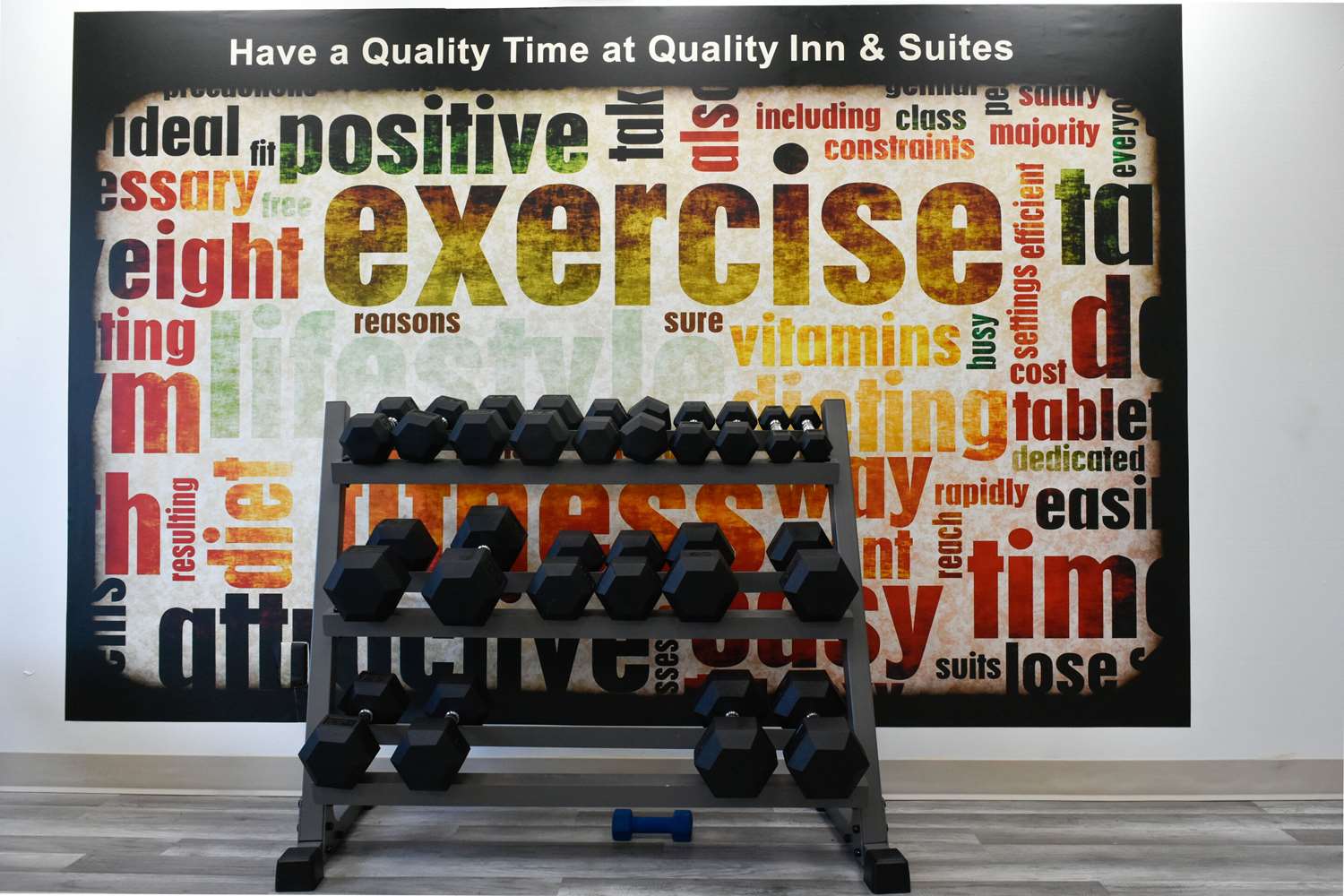 Quality Inn & Suites Brooks Louisville South 23/38