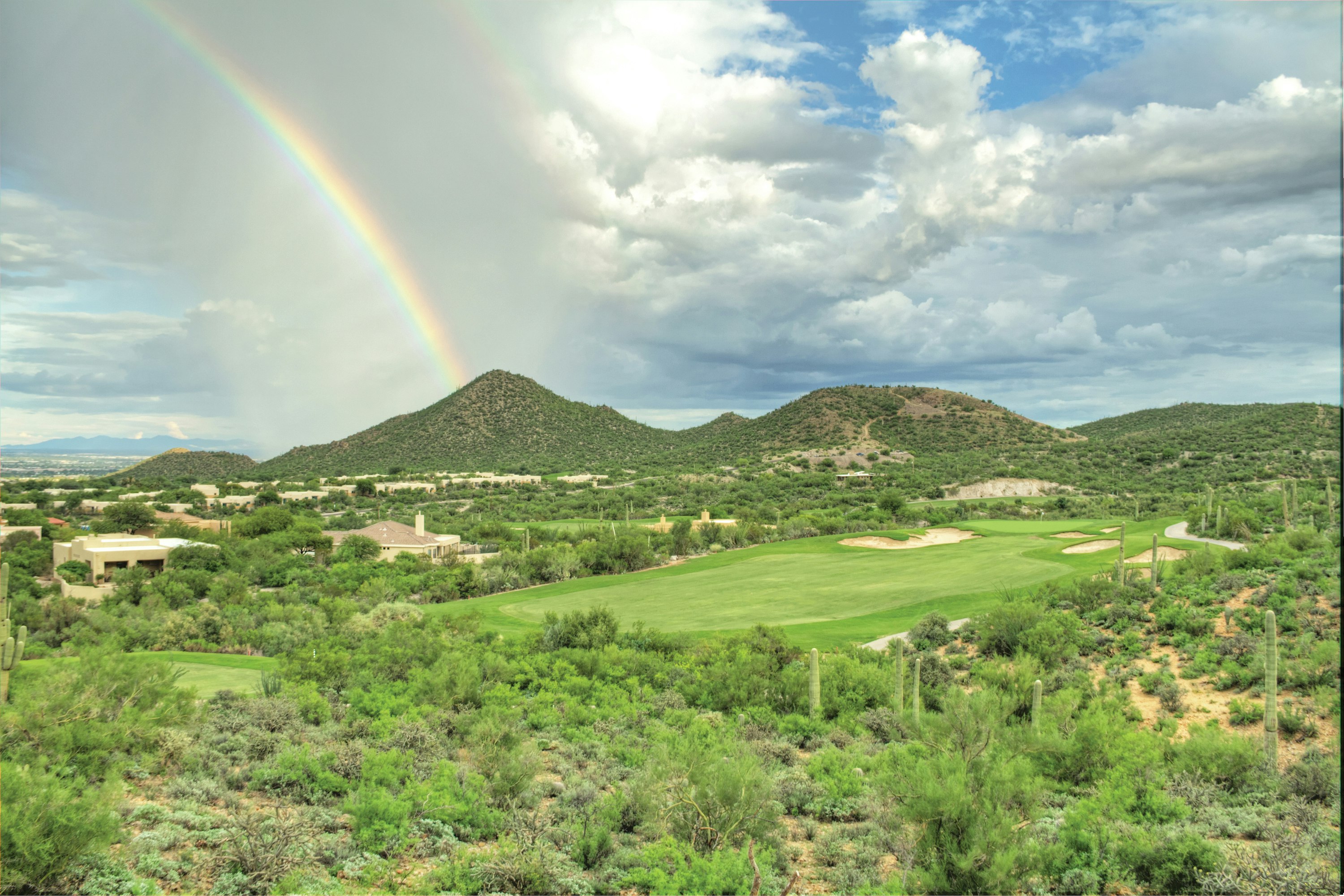 Starr Pass Golf Suites 41/50