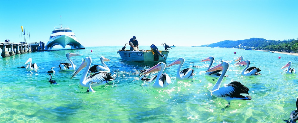 Tangalooma Island Resort 28/54