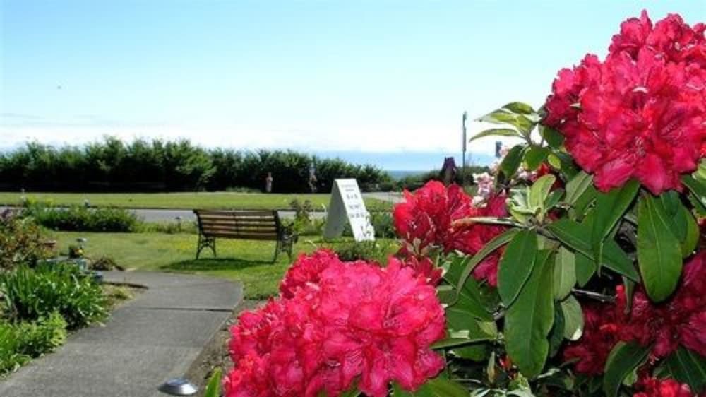 Dashwood Manor Seaside Bed & Breakfast 40/50