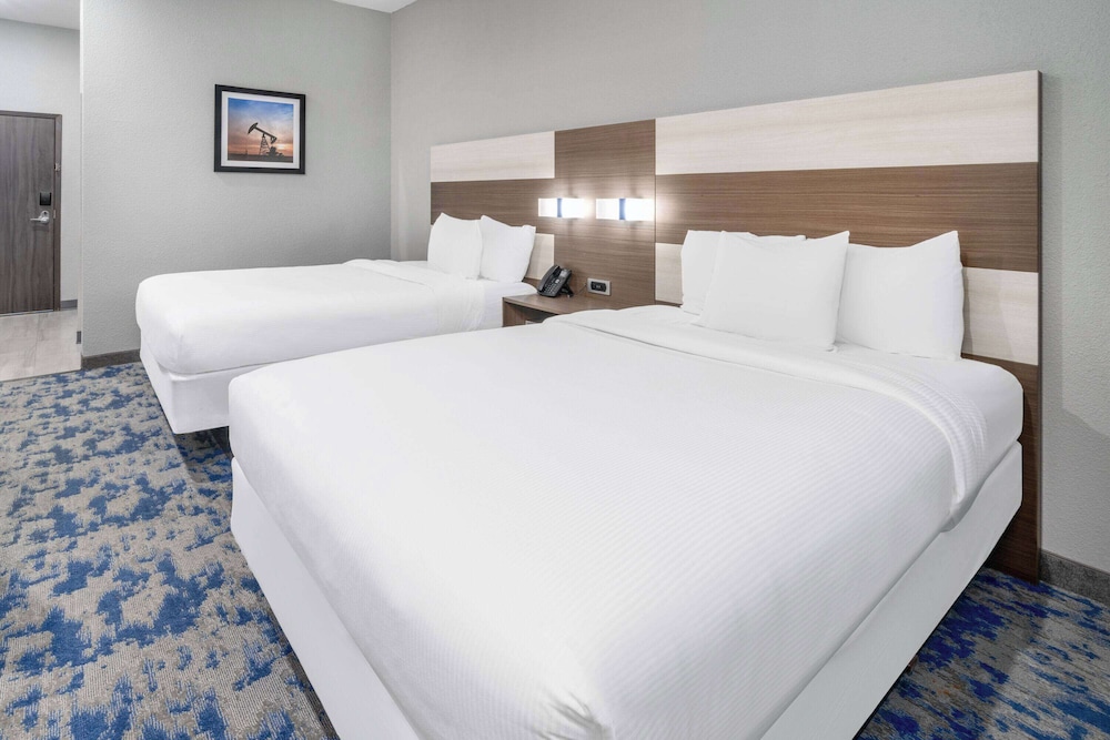 Baymont by Wyndham Carlsbad NM 20/47