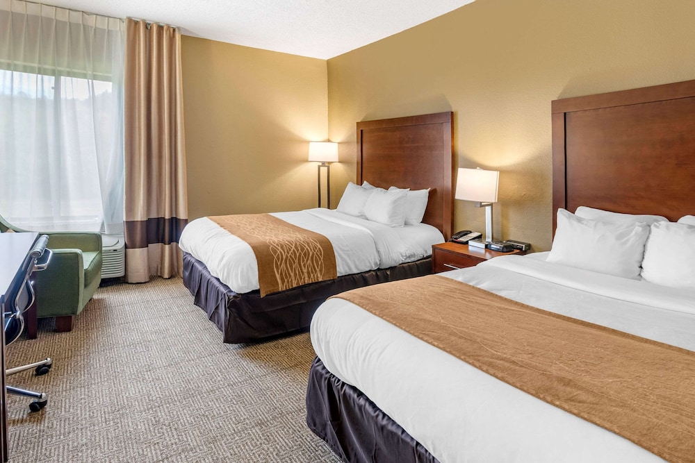 Comfort Inn and Suites Lincoln AL 23/61