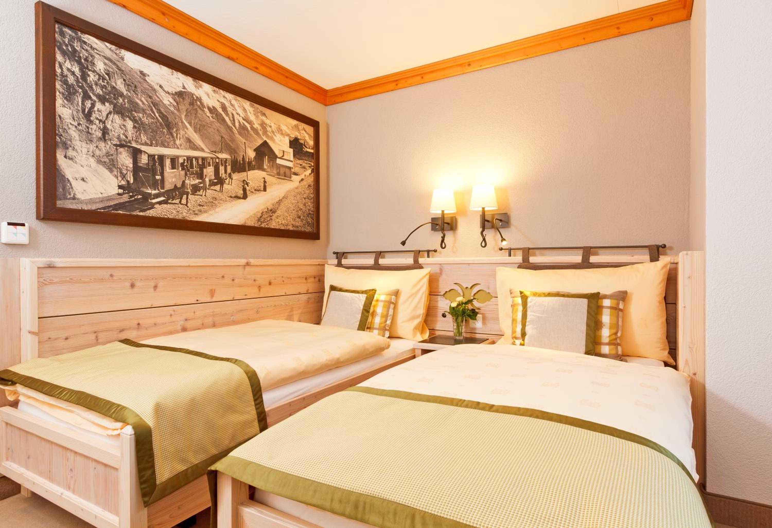 Room, Double Bed, Forest View