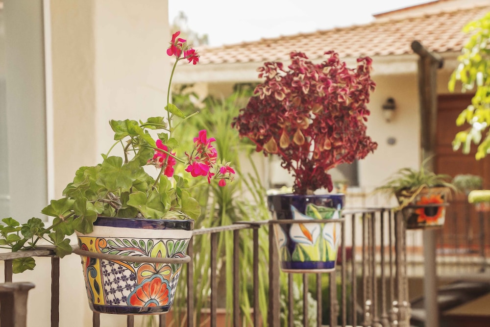 Alcazar Suites 8/30