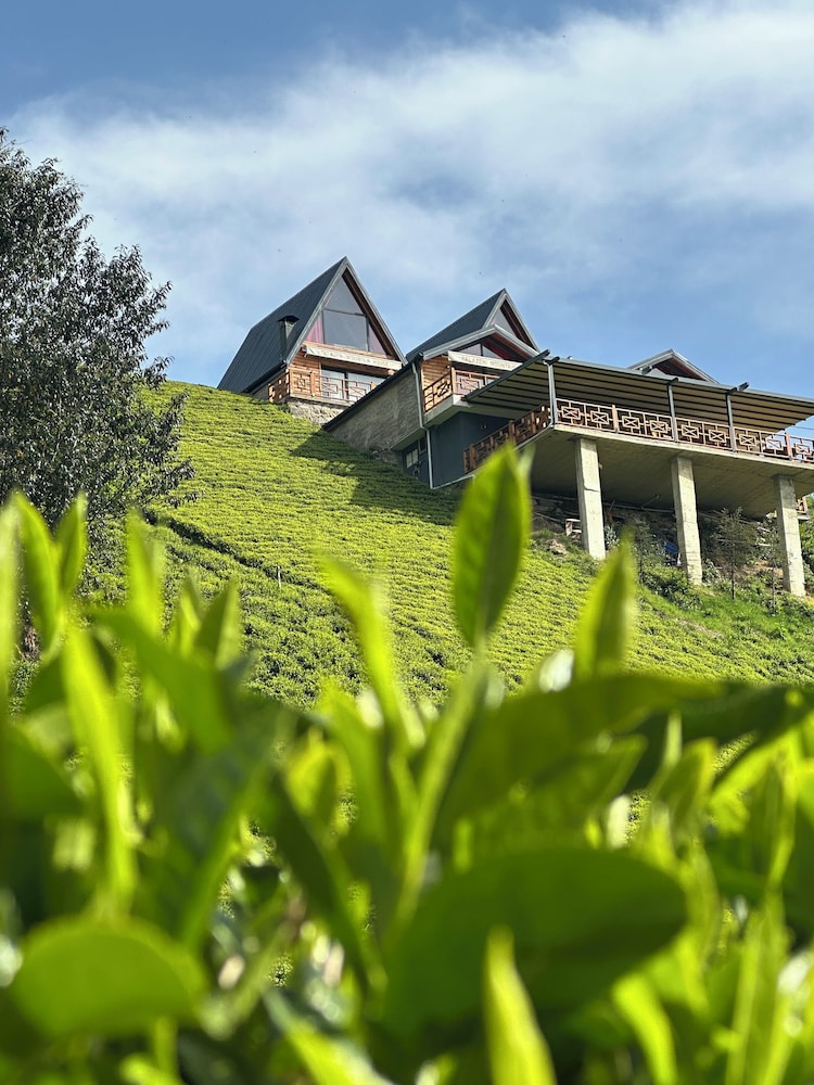Pugari Otel 37/40