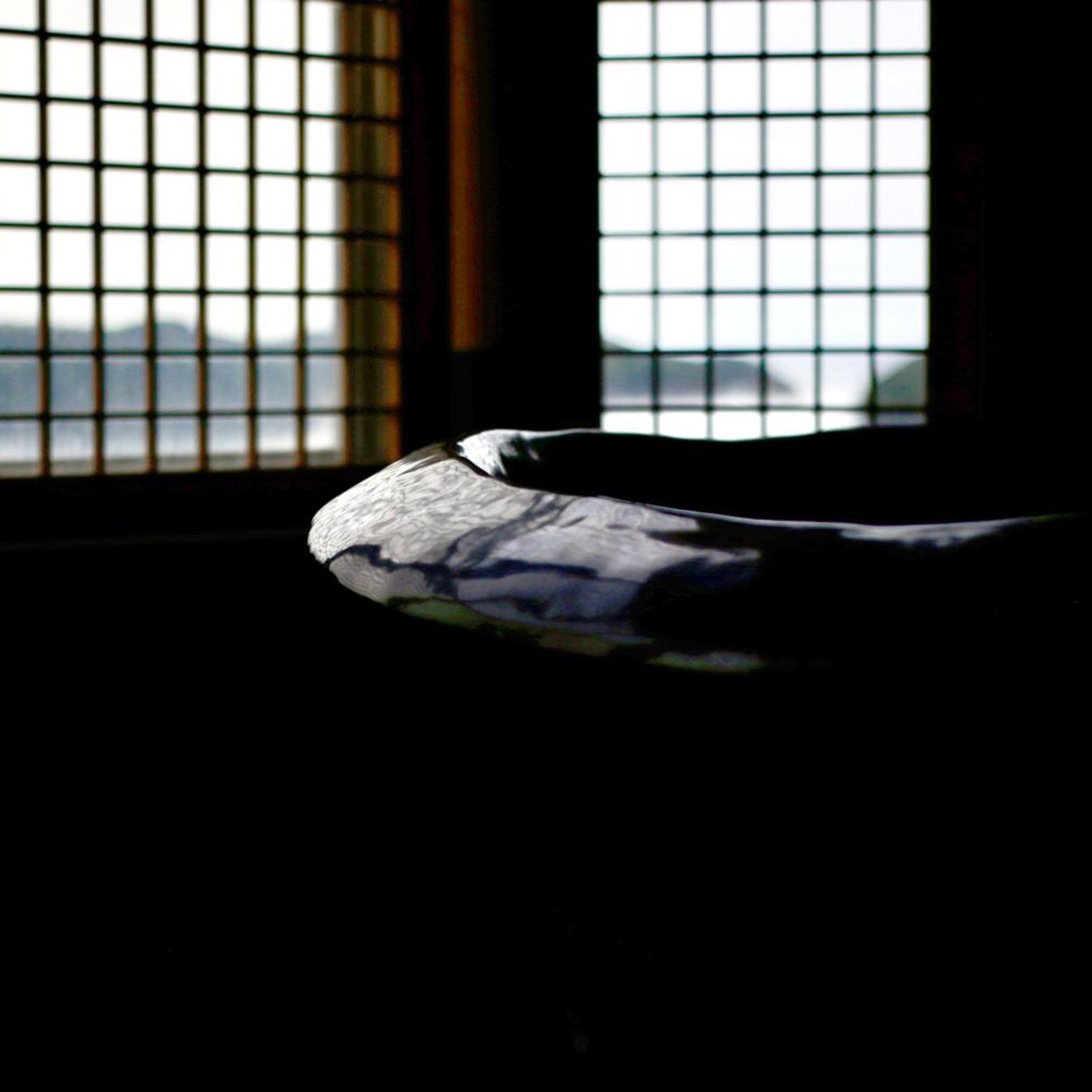 Suite, Hot Spring Bath