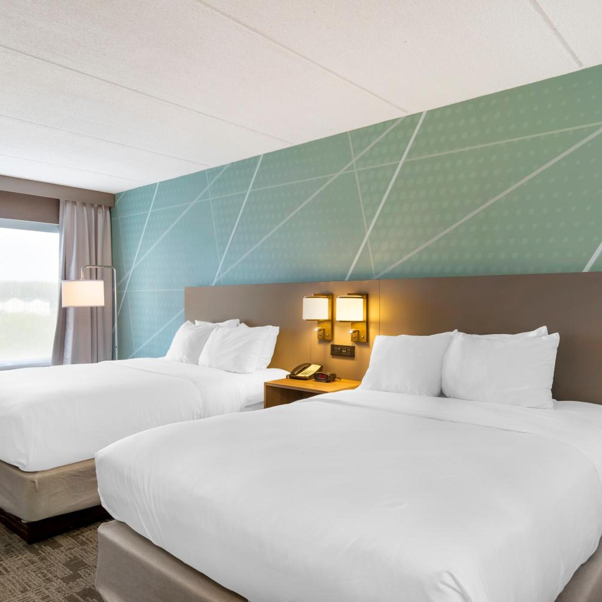 Suite, Queen Bed, Sofa