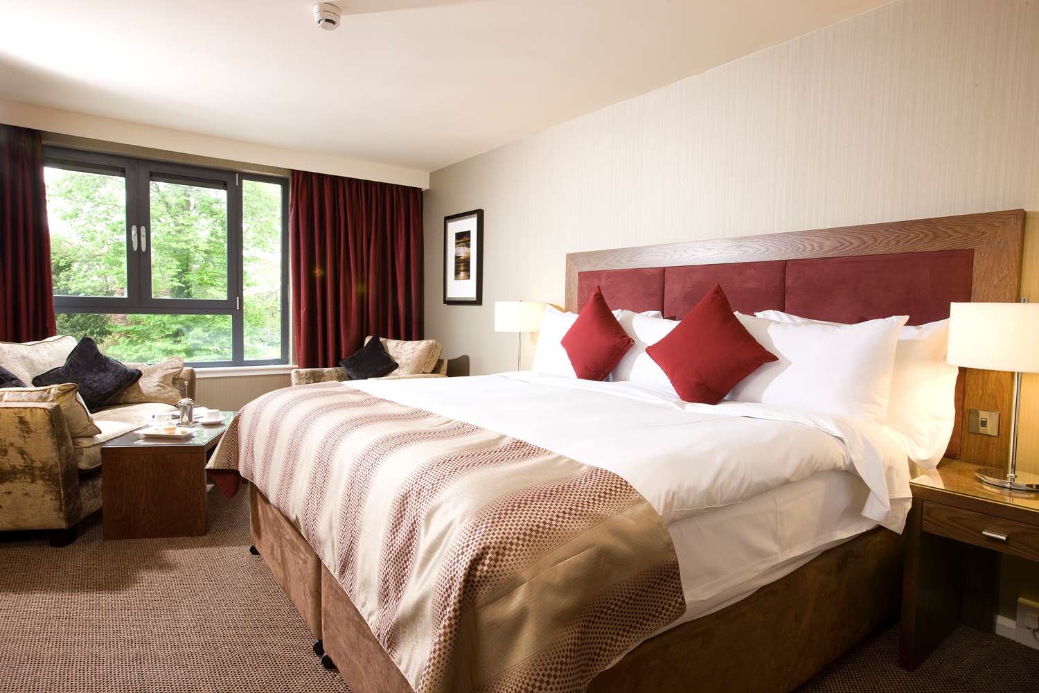 1 king bed, non-smoking, executive room