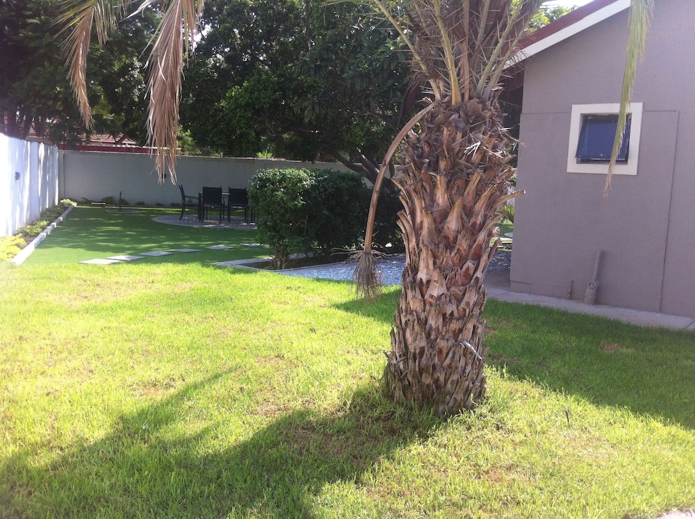 Cosy Palms Guest House 12/26