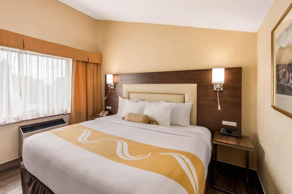 Upgrade, Suite, King Bed