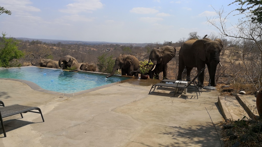 Mbizi Bush Lodge 41/50