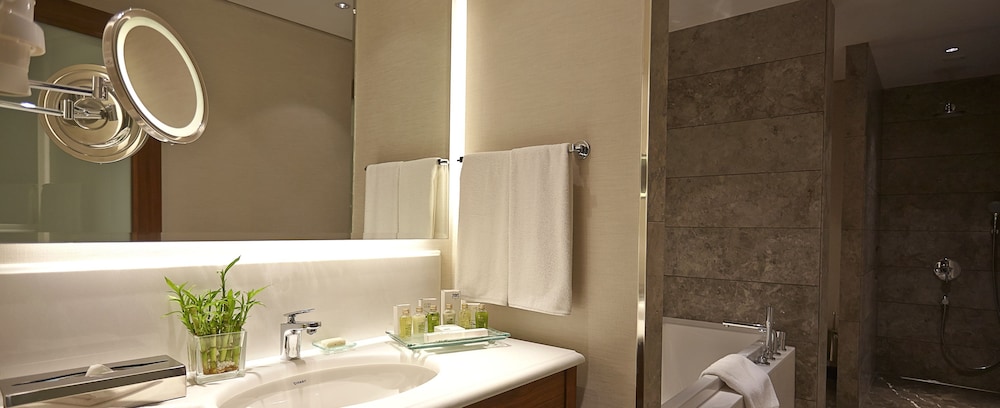 Crowne Plaza Istanbul Oryapark 19/76