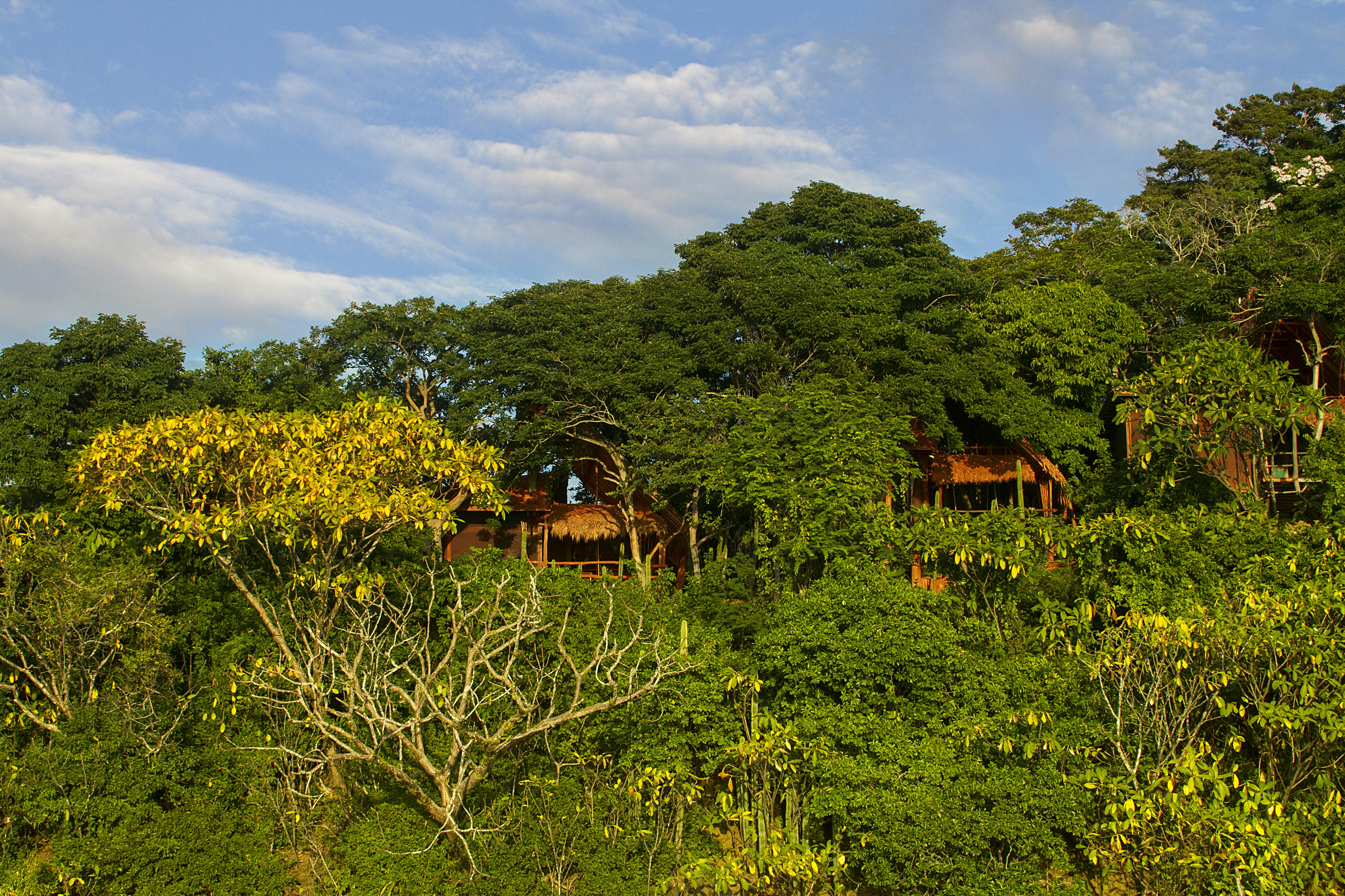 Hacienda Ecolodge Morgan S Rock 64/83