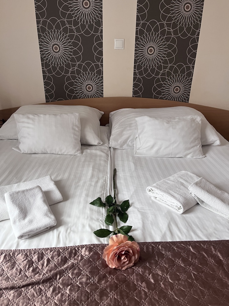 Hotel Papillon 26/50