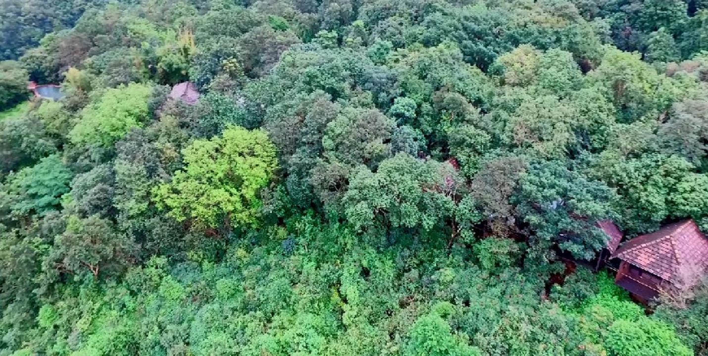 WILDERNEST NATURE RESORT 22/24