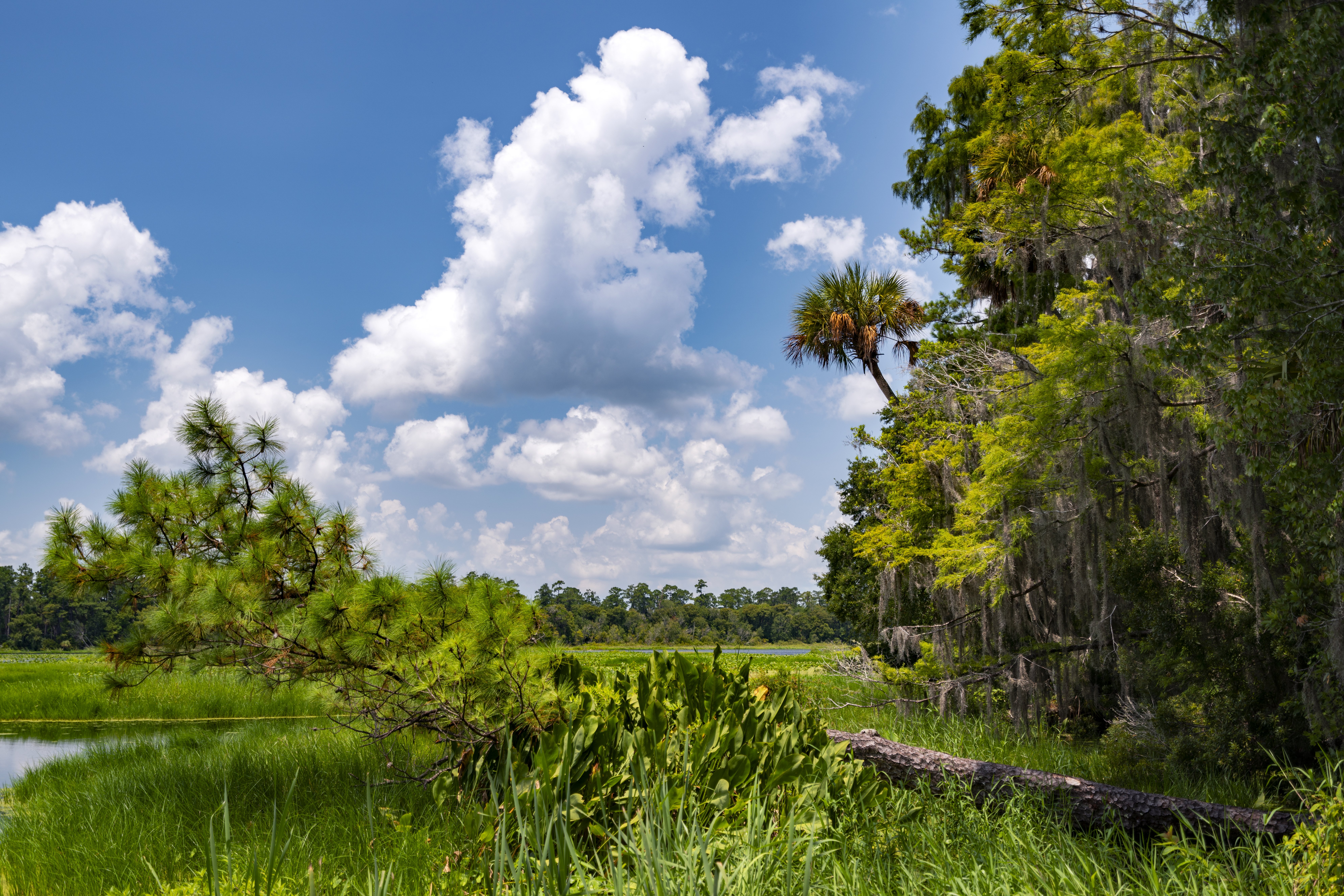 Holiday Inn Express Hotel And Suites Silver Springs Ocala 25/28