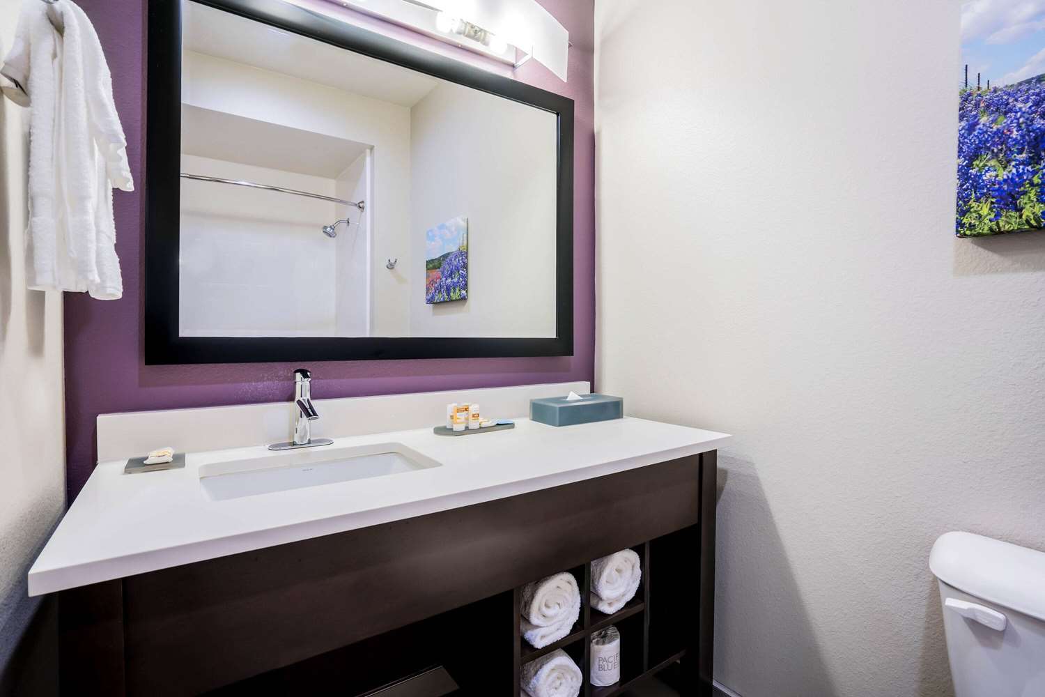 La Quinta Inn And Suites By Wyndham Houston Cypress 21/24