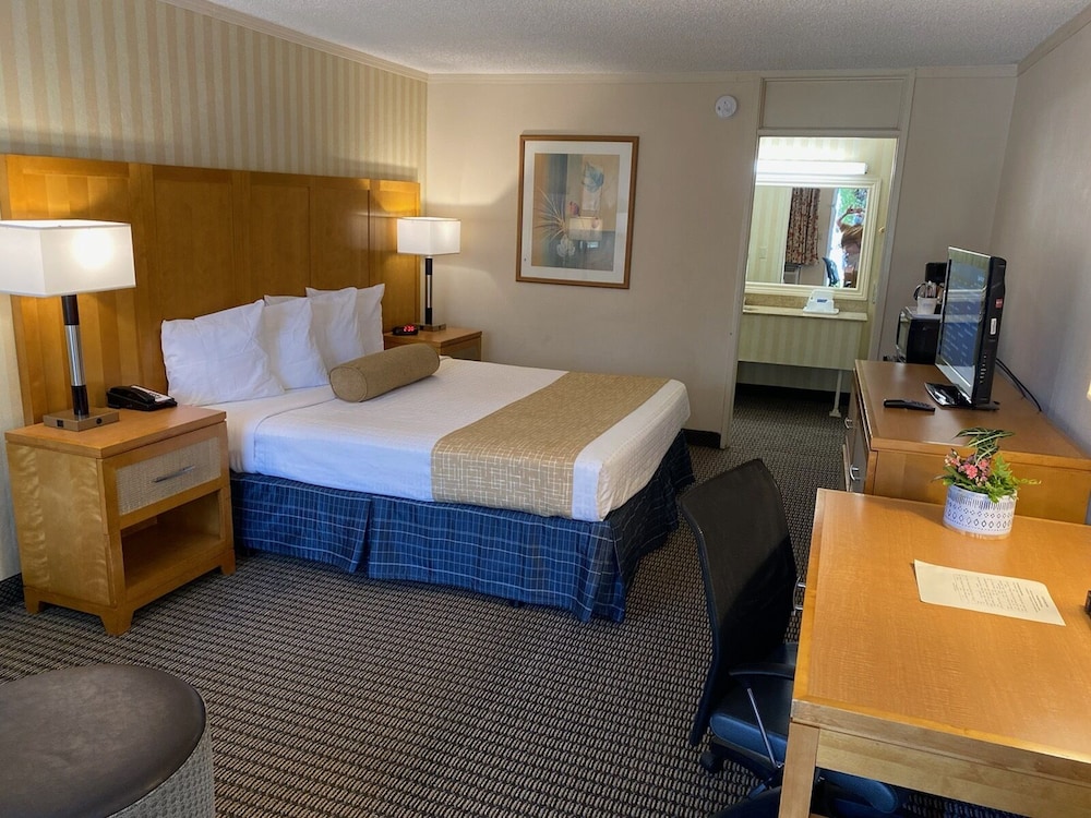 Travelodge By Wyndham Palm Springs 13/41
