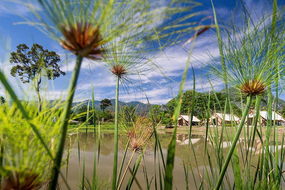 Lala Mukha Tented Resort Khao Yai 30/50
