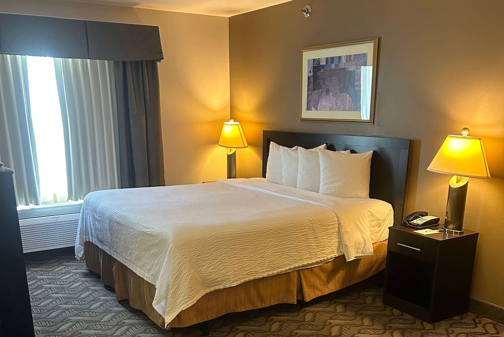 Room, King Bed