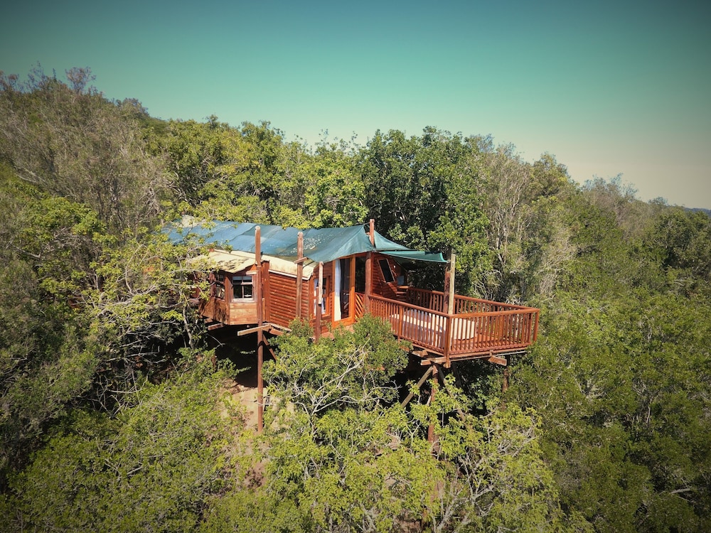 Teniqua Treetops 2/50