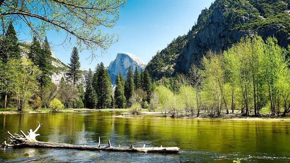 The Ahwahnee 38/50