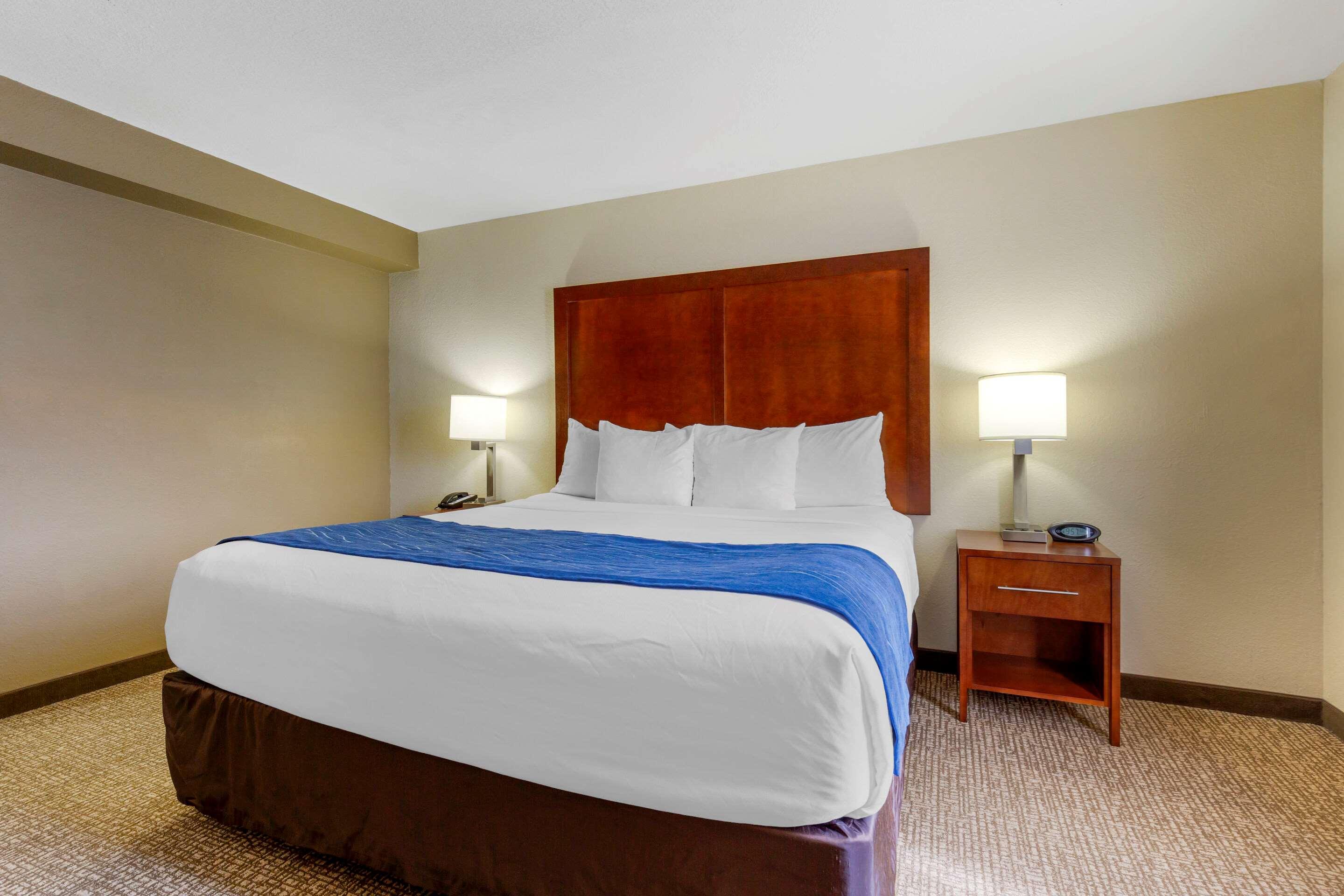 SUITE, KING BED