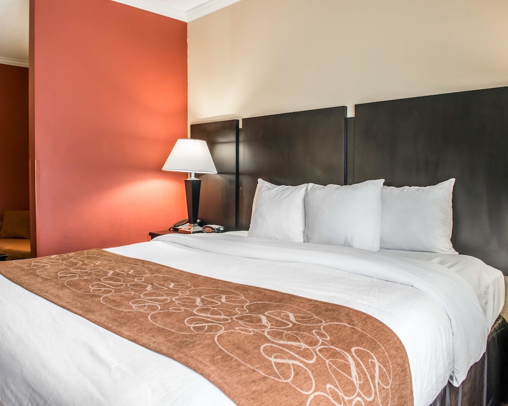 Comfort Suites Panama City Near Tyndall AFB 15/43