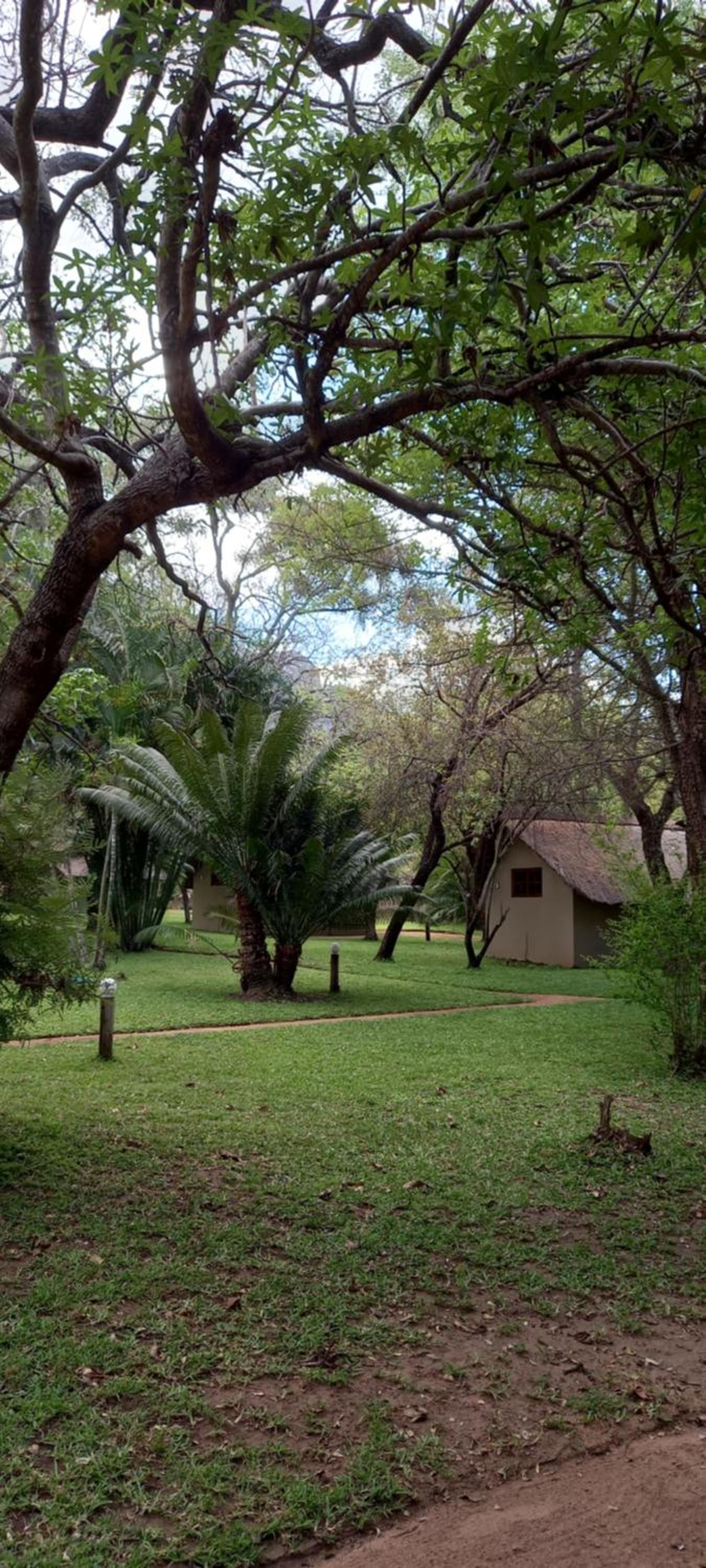 Shumba Safari Lodge 28/50