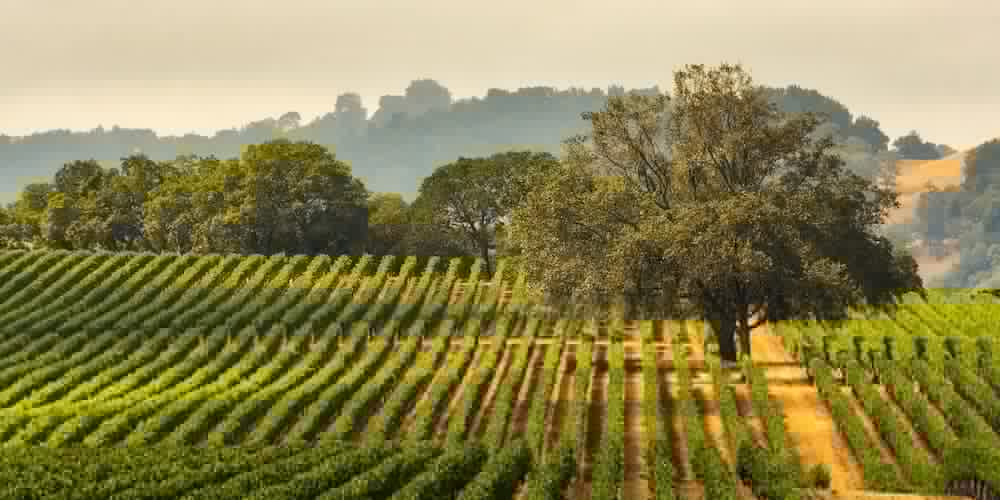 Hyatt Regency Sonoma Wine Country 61/65