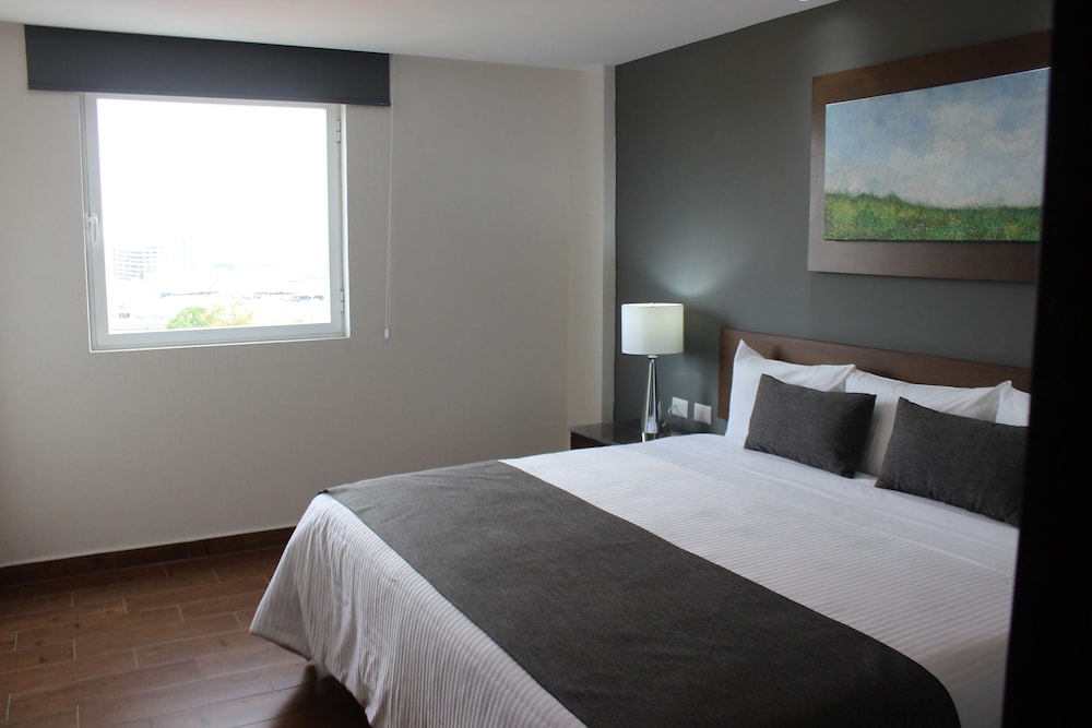 Eco Hotel Guadalajara Expo 15/54