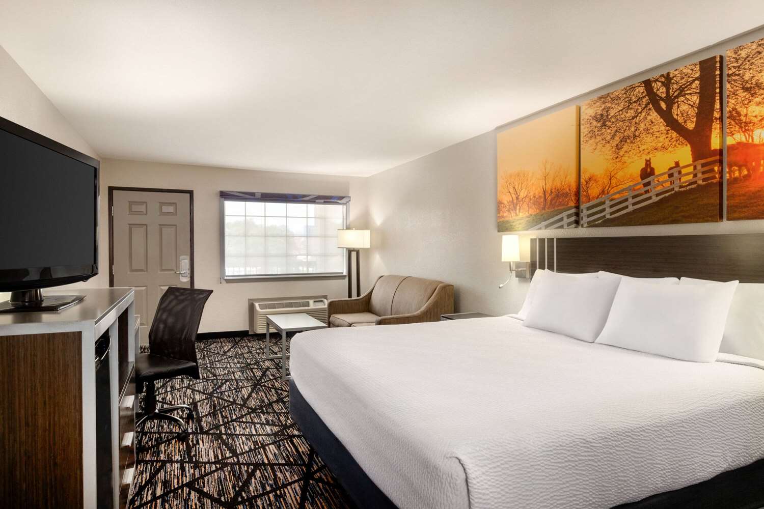 Days Inn By Wyndham San Antonio Near Fiesta Park 4/36