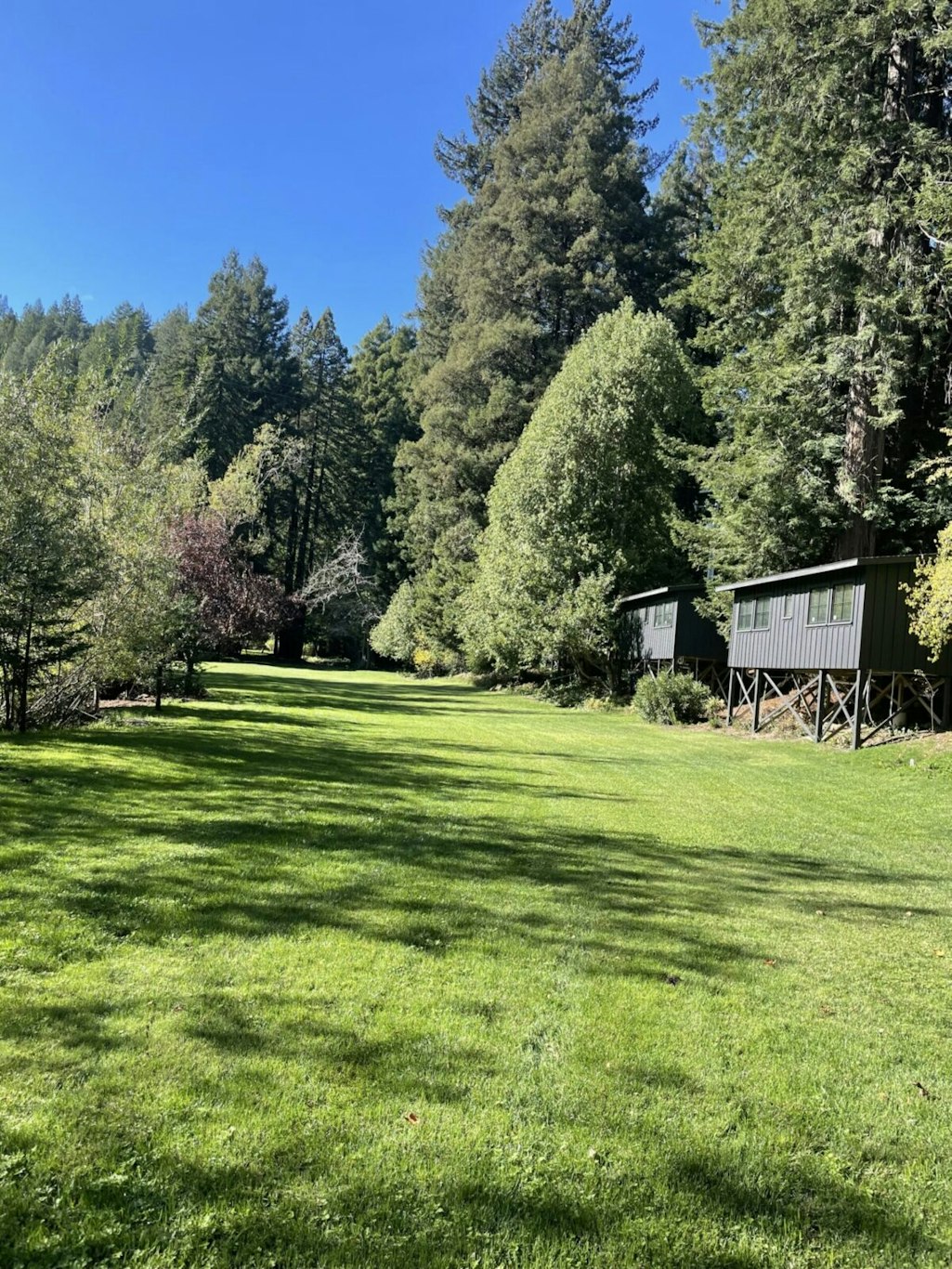 Dawn Ranch 46/51