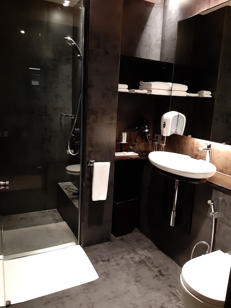 Holiday Inn Express New Delhi International Airport Terminal 3 Terminal Hotel 15/44
