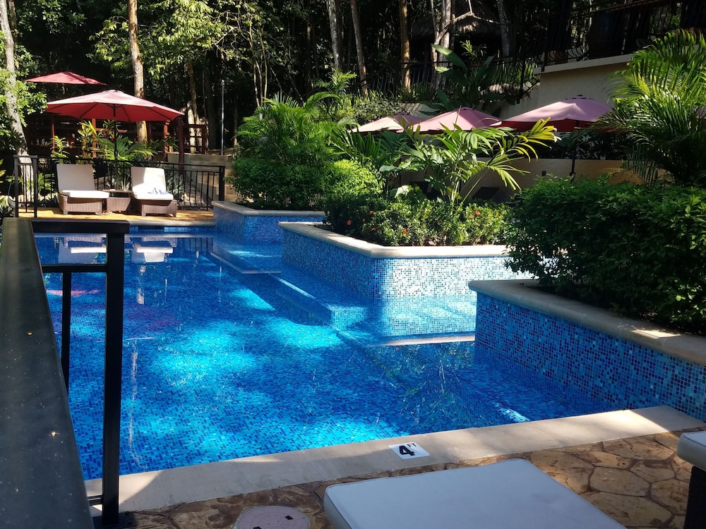Table Rock Jungle Lodge 4/65