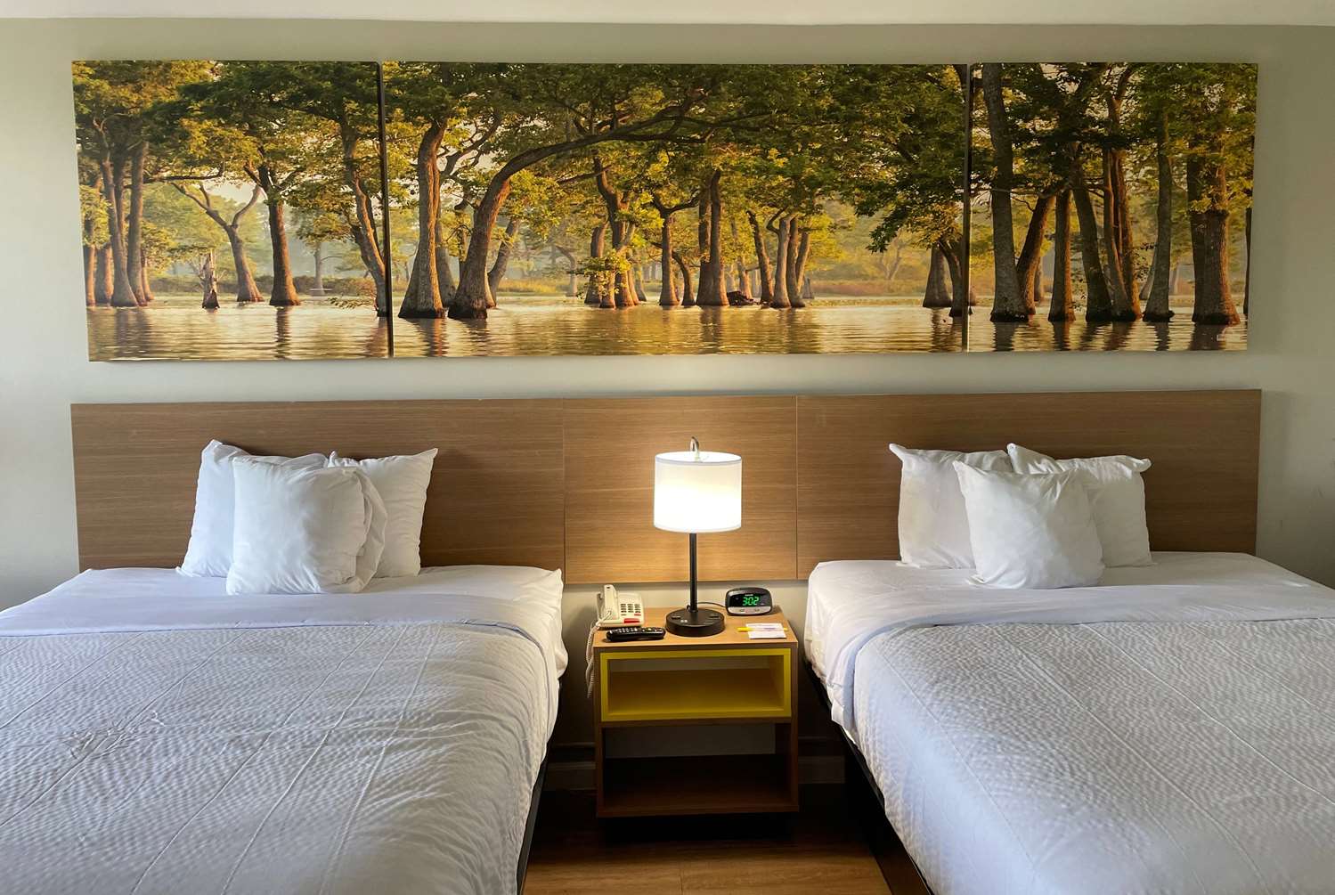 Days Inn by Wyndham Valdosta/Near Valdosta Mall 16/41