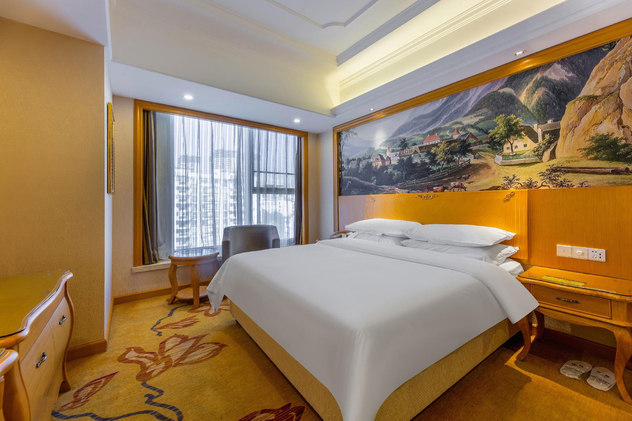Vienna International Hotel (Yichang East Railway Station) 35/50