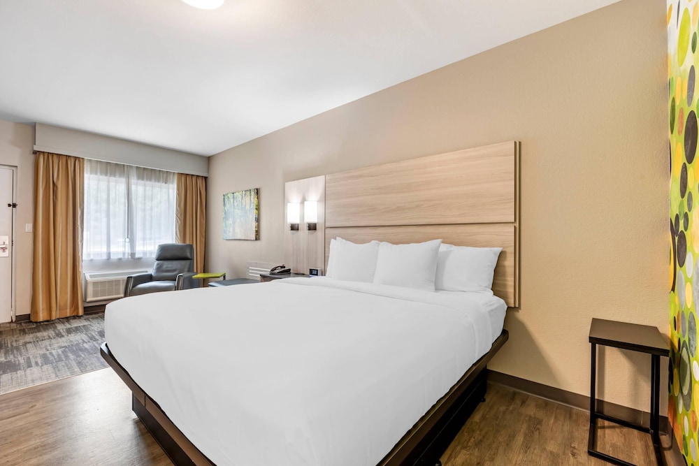 ROOM, KING BED, ACCESSIBLE