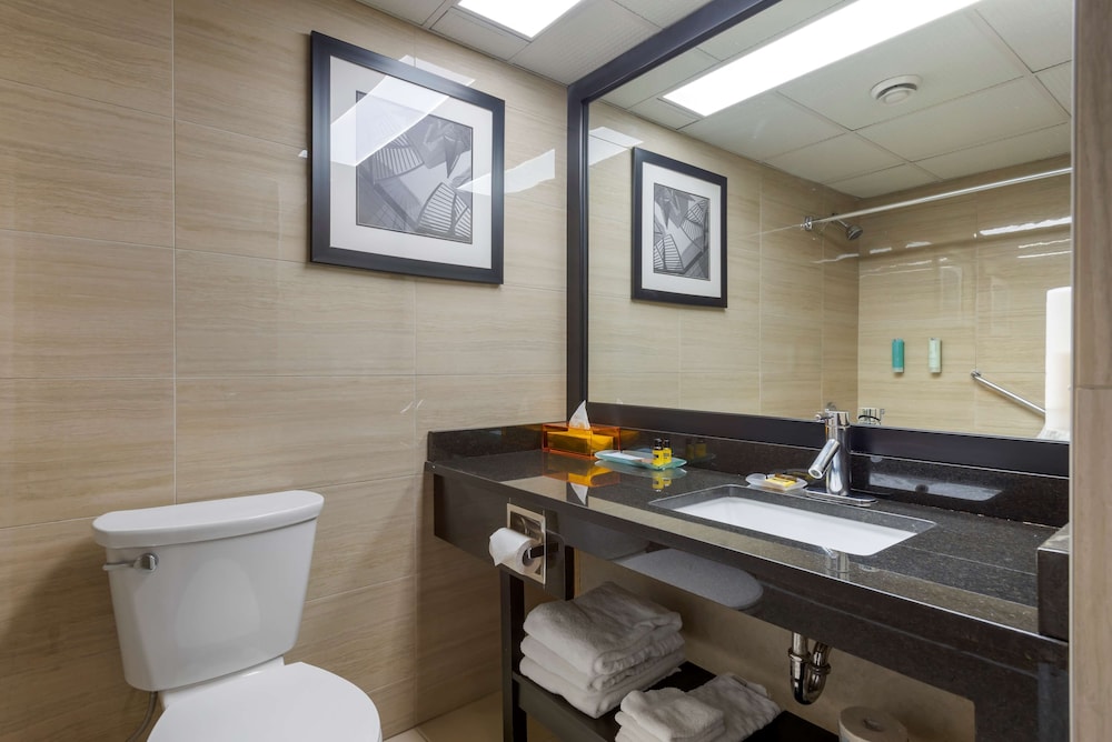 غرفة قياسية بسرير كينج مع أريكة، Village Park Inn Calgary 6/7